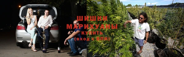 тгк Алзамай